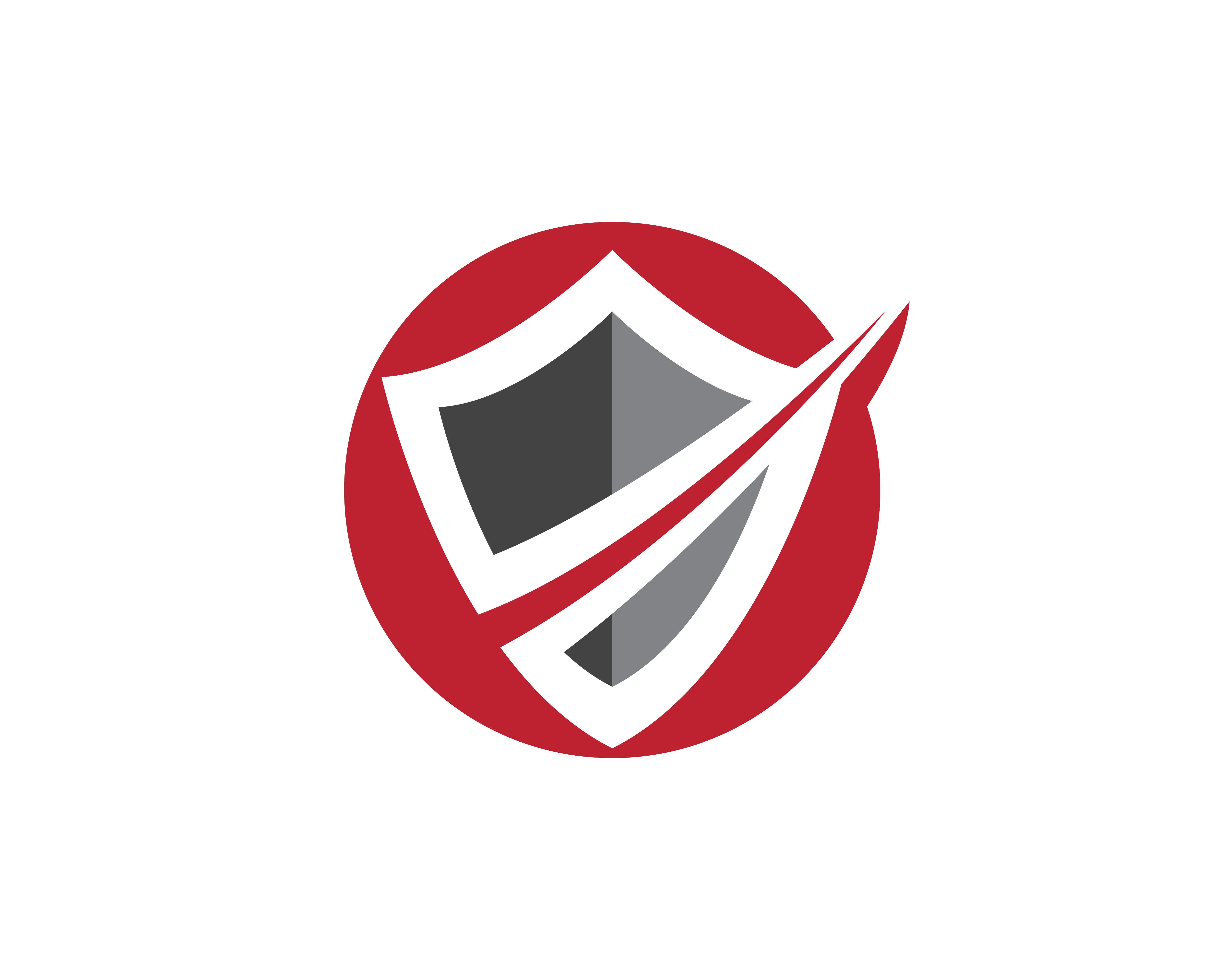 SafeLink Consulting advisors